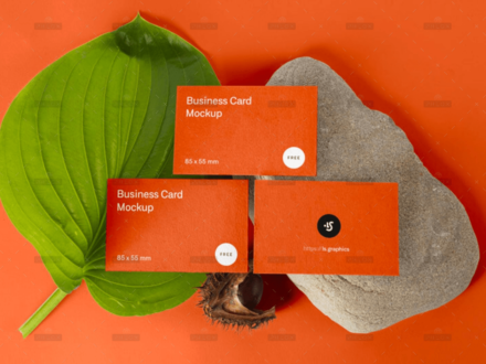 demo-attachment-1798-eh9jwsul